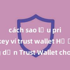 cách sao lưu private key ví trust wallet Hướng dẫn Trust Wallet cho người mới bắt đầu tại Việt Nam